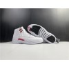 Air Jordan 12 “Twist” CT8013-106